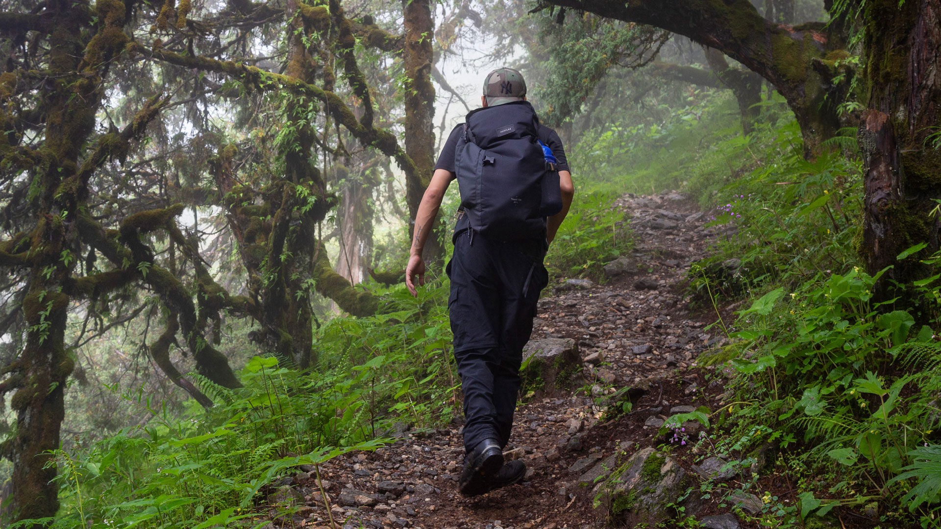 Witness the Magic of Bhutan Festivals