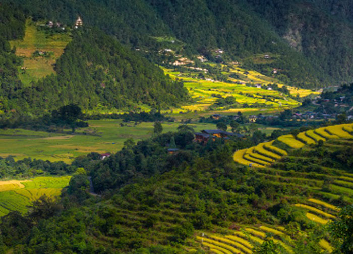 Top reasons to travel to the himalayan kingdom of Bhutan
