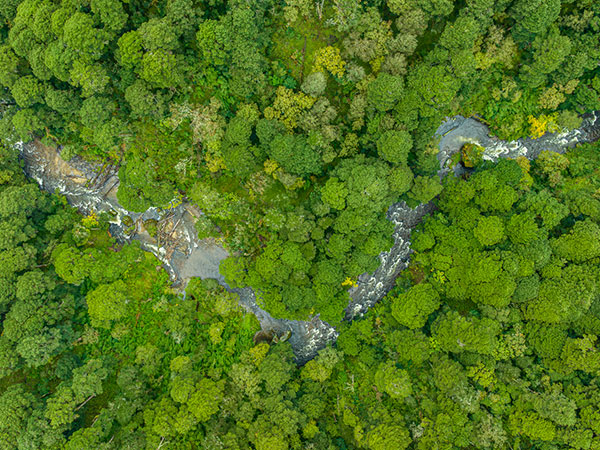 Sacred Himalaya Journey