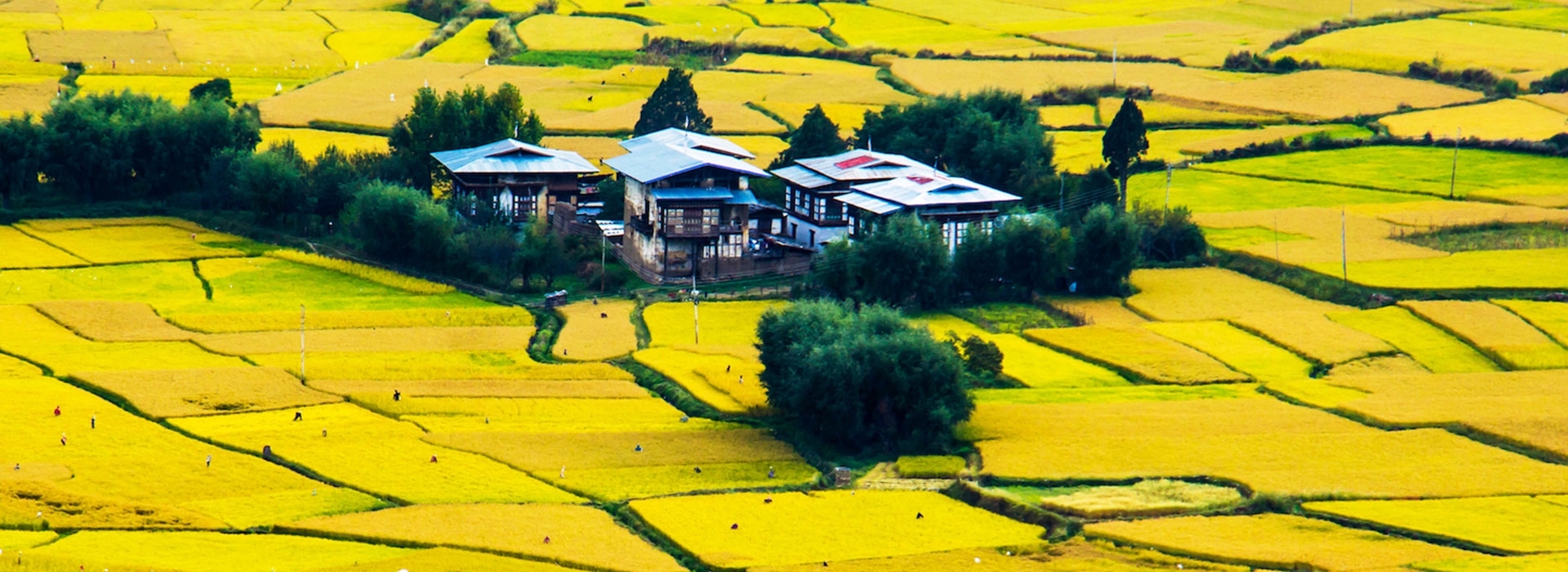 Bhutan Cultural Odyssey