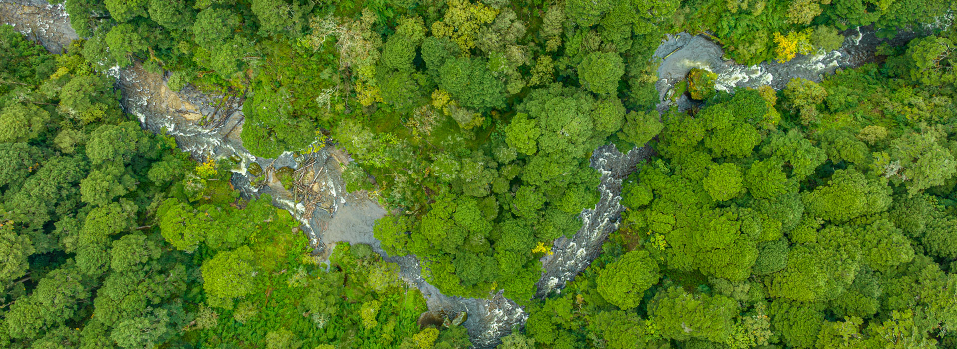 Sacred Himalaya Journey