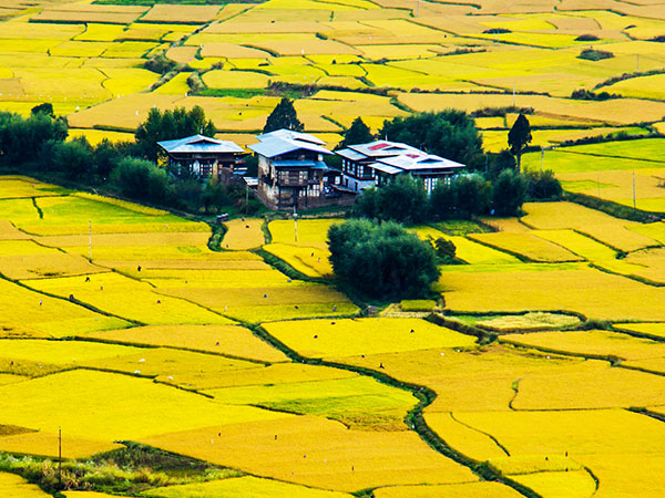 Bhutan Cultural Odyssey