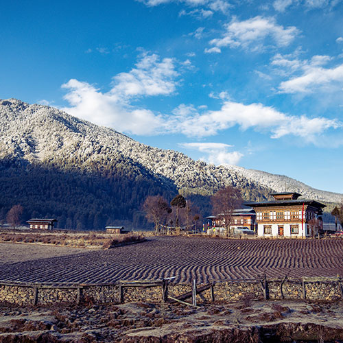 Phobjikha Valley